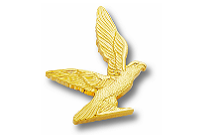 Metal Club Badge - Eagle